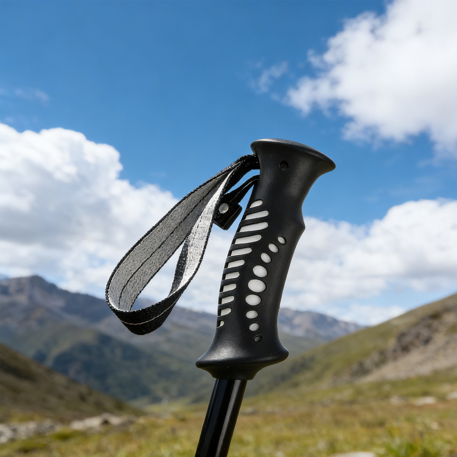 Poignée de remplacement pour b - Trekking Poles avis et prix