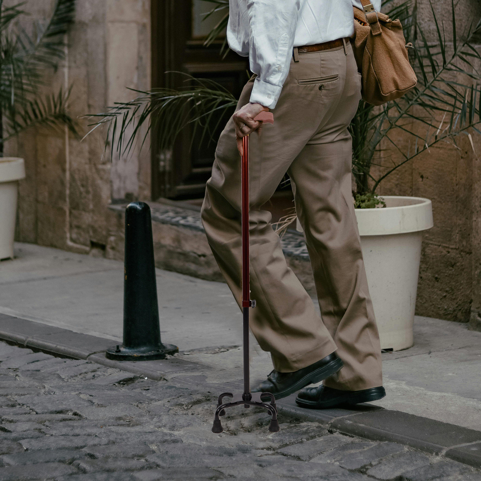 Bâton de marche détachable en  - Trekking Poles avis et prix